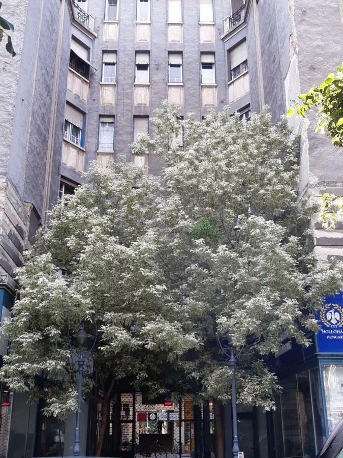 Wanderer 3 Apartment Debrecen Luaran gambar